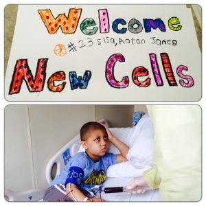 Hello stem cells!